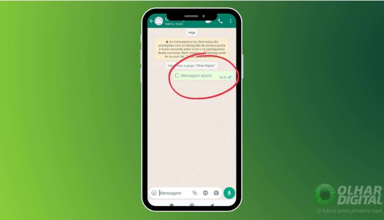 Como Ver Foto De Visualização Unica no WhatsApp