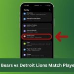 Chicago Bears vs Detroit Lions Match Player Stats