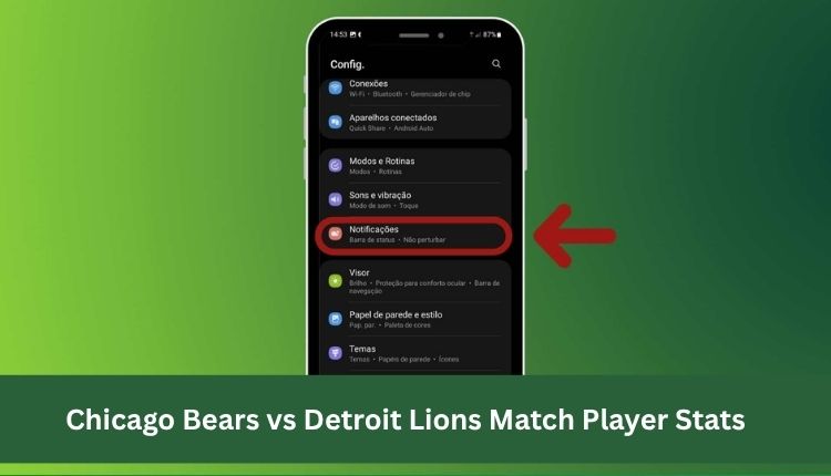 Chicago Bears vs Detroit Lions Match Player Stats