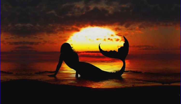 sereia papel de parede