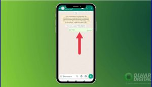 como tirar print de visualização unica no whatsapp