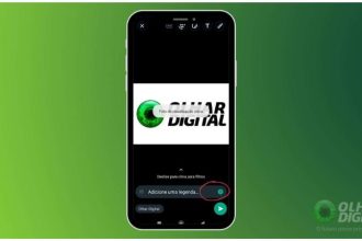 como colocar visualização unica no whatsapp