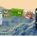 como recuperar foto apagada do celular