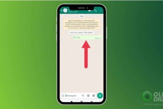 Visualização Única WhatsApp GB