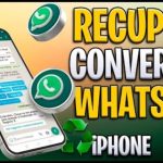 Como ler mensagem Apagada do WhatsApp no iPhone